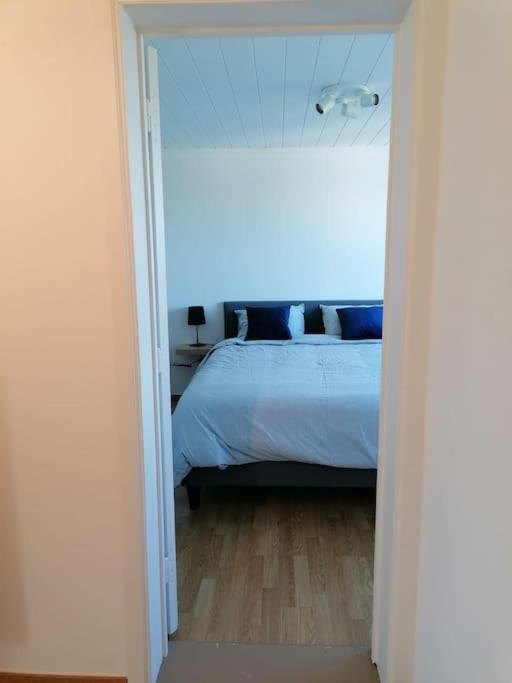 L'Abri En Orange Apartment Sint-Niklaas Luaran gambar