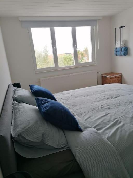L'Abri En Orange Apartment Sint-Niklaas Luaran gambar